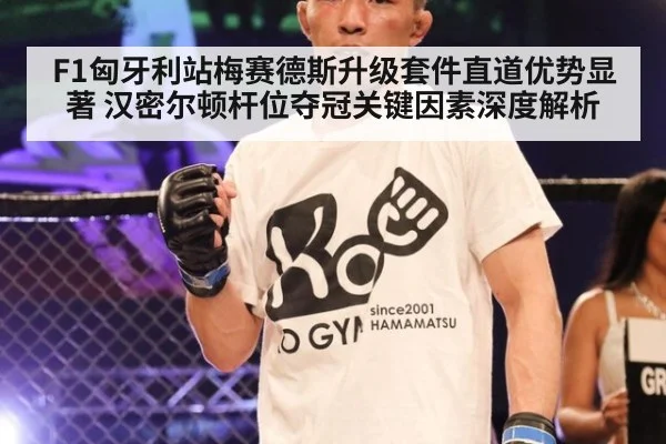 F1匈牙利站梅赛德斯升级套件直道优势显著 汉密尔顿杆位夺冠关键因素深度解析