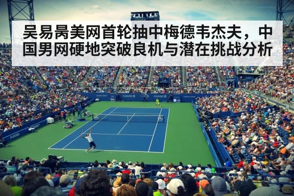 professional tennis match