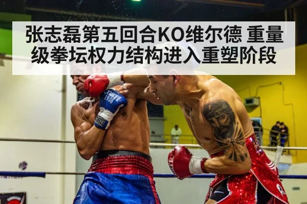 张志磊第五回合KO维尔德 重量级拳坛权力结构进入重塑阶段